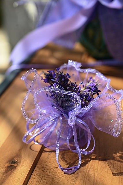 Free Lavender Dried Lavender photo and picture
