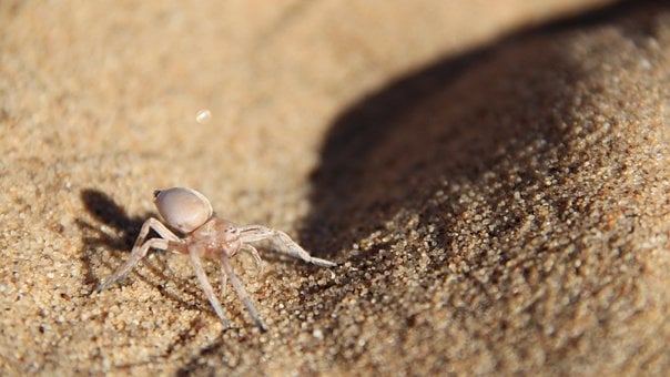 Wüste, Namibia, Natur, Afrika, Sand