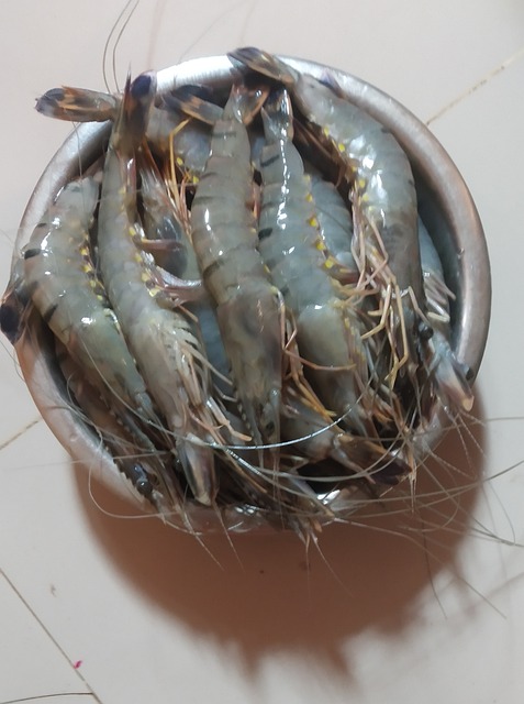 Free Shrimp Bowl photo and picture