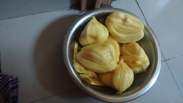 Free Jackfruit Fresh photo and picture