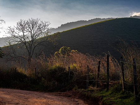Free Landscape Rural photo and picture