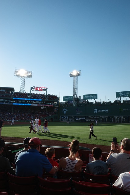 Free Baseball Fenway Park photo and picture