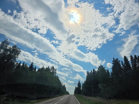 Sommer, Wald, Straße, Natur, Autoreise