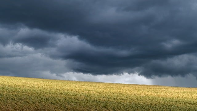 Tempestade, Nuvens, Campo, Grão