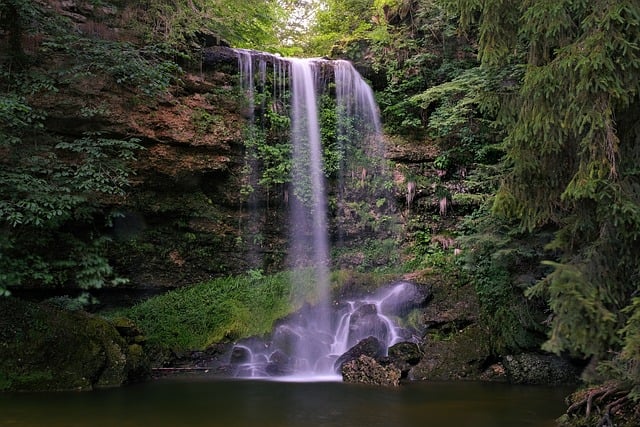 Cachoeira, Floresta, Natureza, Rocha