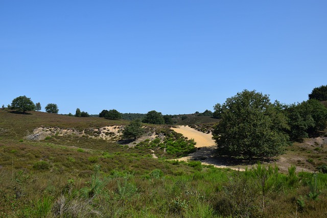 Paisagem, Natureza, Países Baixos