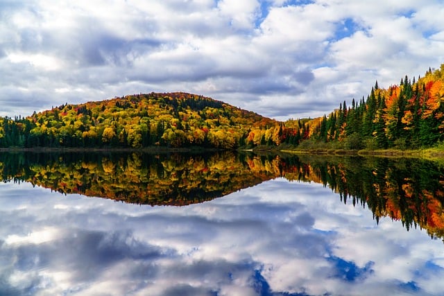 Free Autumn Nature photo and picture