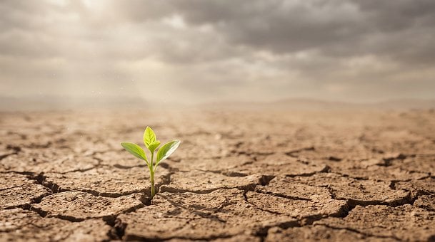 Free Desert Dryness illustration and picture