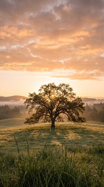 Free Tree Nature illustration and picture