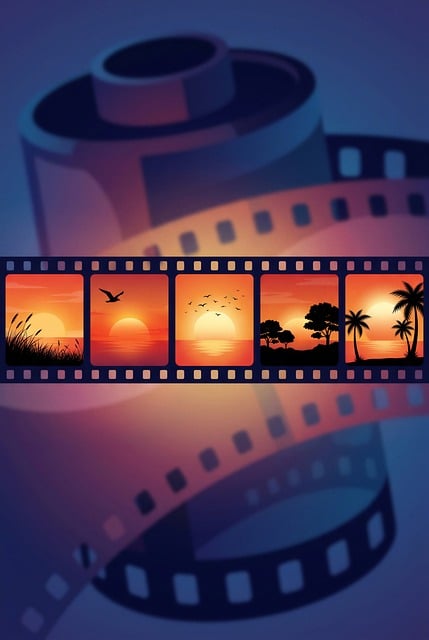Film, Sonnenuntergang, Natur, Palme