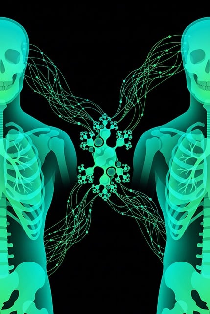 Free human skeleton anatomy digital illustration