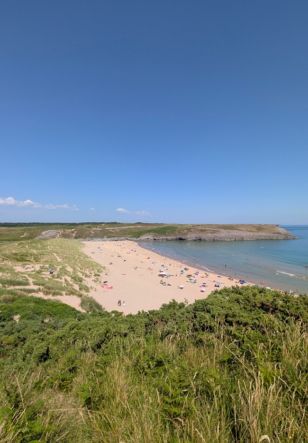 Free Beach Sand photo and picture
