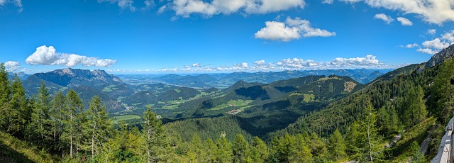 Free Mountains Forest photo and picture