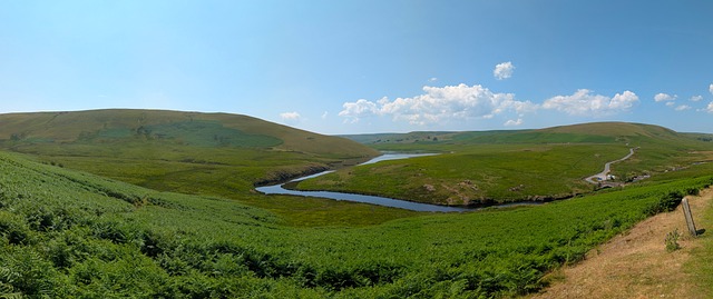 Free View Valley photo and picture