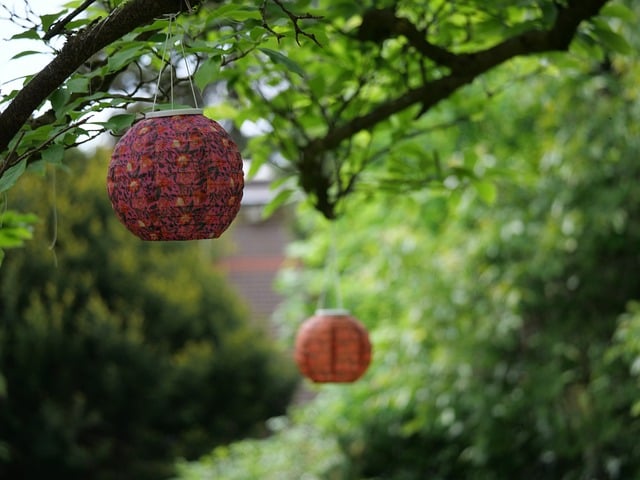 Free Lantern Japanese photo and picture