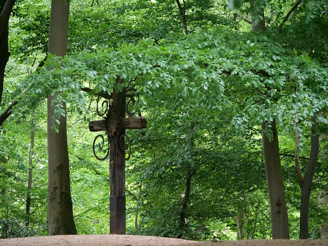 Free Wooden Cross Symbol Of Faith photo and picture