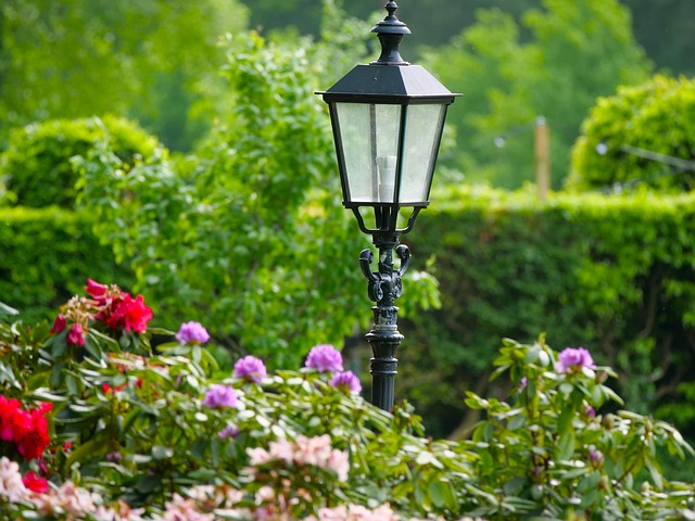 Free Lamp Street Lamp photo and picture