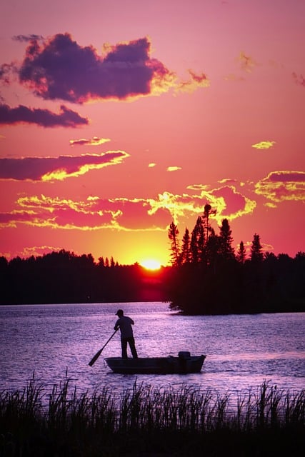 Free Nature Landscape photo and picture