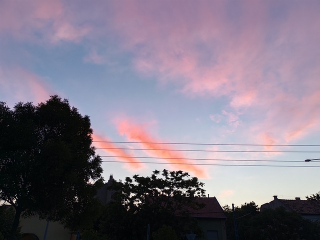 Sonnenuntergang, Bäume, Rosa Himmel