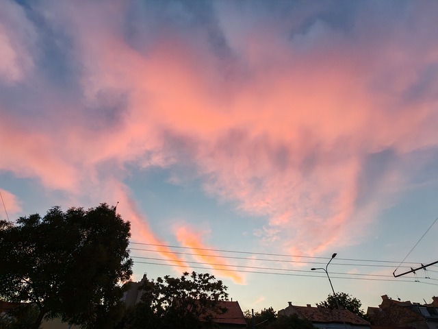 Himmel, Sonnenaufgang, Rosa Himmel