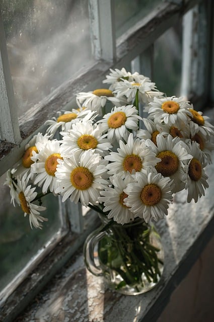 Romantik, Blumen, Vase, Glas, Fenster