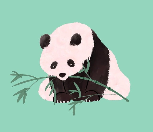 Panda, Bambus, Essen, Niedlich, Tier