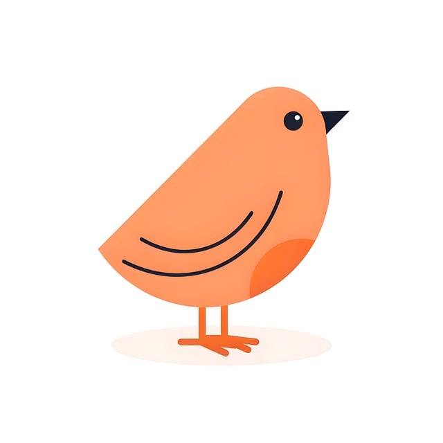Free Bird Minimalism photo and picture