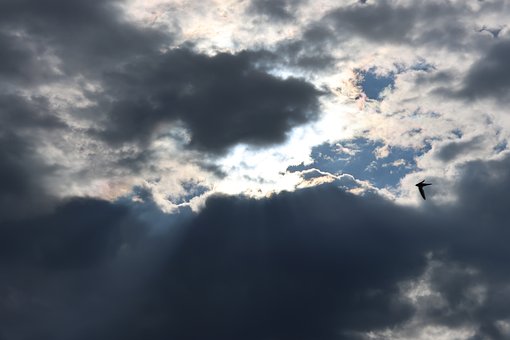 Wolken, Natur, Vogel Am Himmel, Himmel
