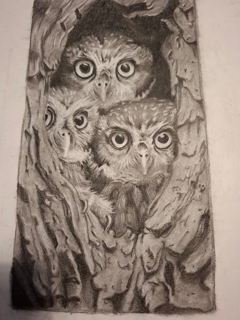Eule, Vogel, Holzstruktur, Bleistift