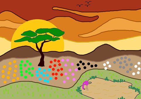 Free African Landscape Tree photo and picture