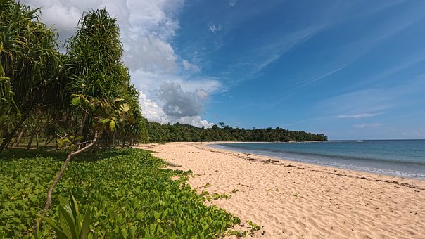 Playa, Arena, Océano, Naturaleza