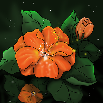 Blomst, Natur, Farverig, Smuk, Orange