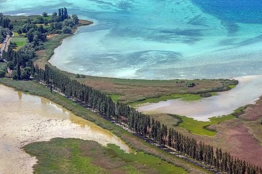 Luftaufnahme, Insel, Bäume, Allee