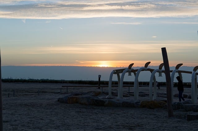 Free Beach Sunset photo and picture