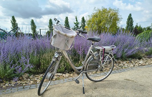 Free Park Sage photo and picture