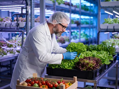 Free Hydroponic Agriculture illustration and picture