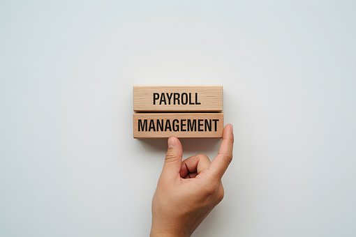 Free Payroll Management Wooden Blocks illustration and picture