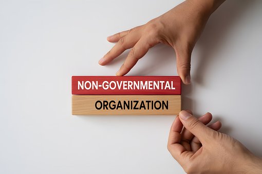 Free Non-Governmental Organization illustration and picture