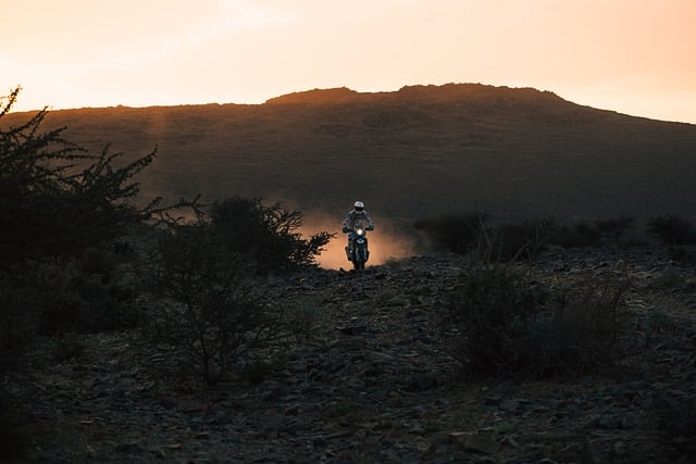 Free Motocross Motorcycle photo and picture