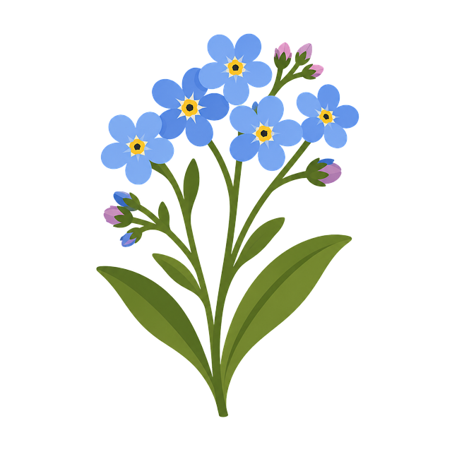 Free forget-me-not flower blue vector