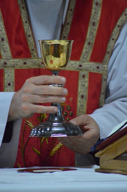 Cálice, Padre, Missa, Vestidura
