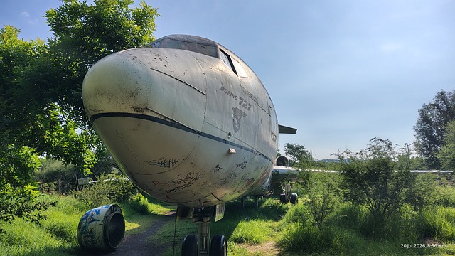 Flugzeug, Alt, Verfall, Graffiti, Natur