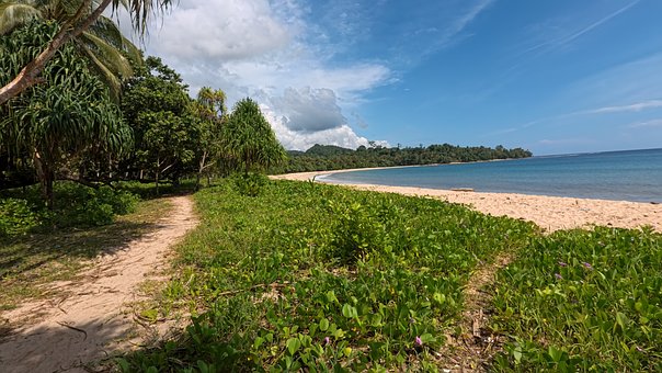 Playa, Naturaleza, Verano, Surf
