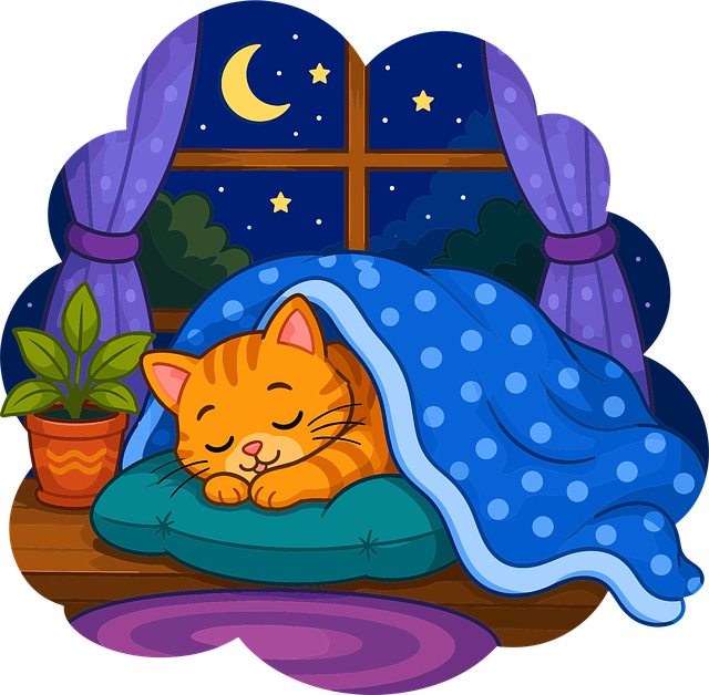 Free sleeping cat cute cat cozy cat vector