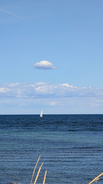 Free Sailboat Sea photo and picture
