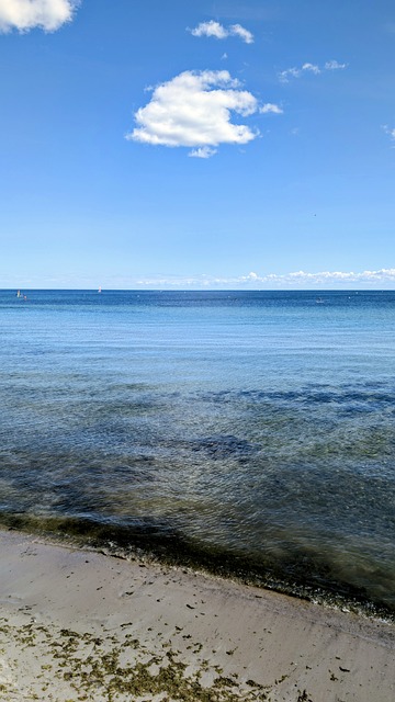 Free Sand Coast photo and picture