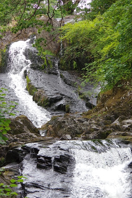 Free Waterfall Nature photo and picture