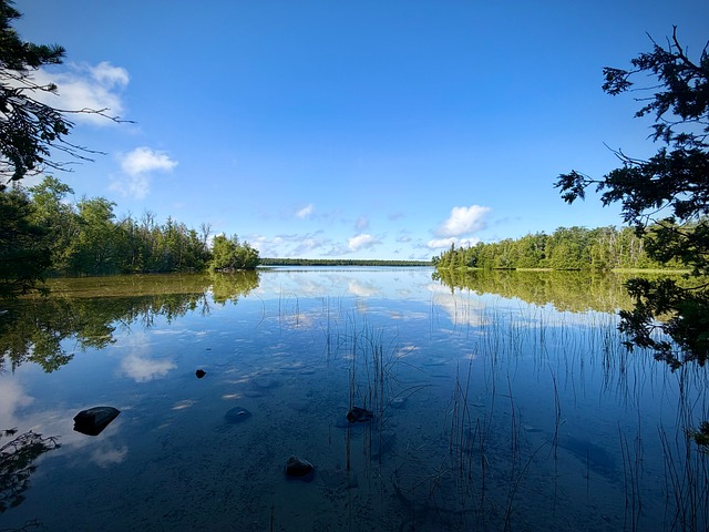 Dam, Natur, Vand, Refleksion, Sommer