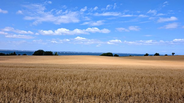 Free Nature Field photo and picture