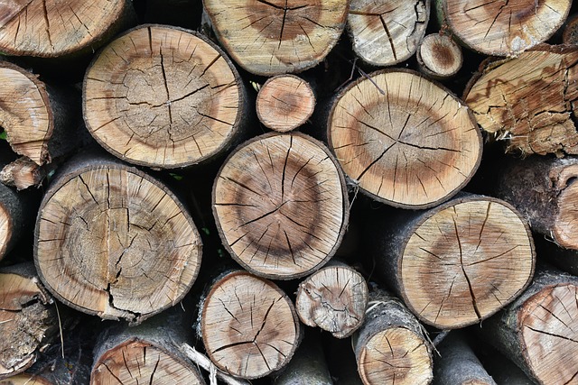 Holz, Rundholz, Textur, Ringe